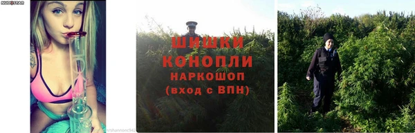 прущие крисы Переславль-Залесский