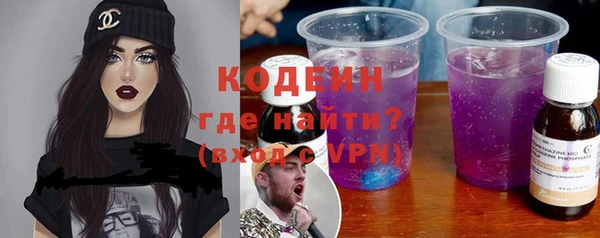 дживик Гатчина