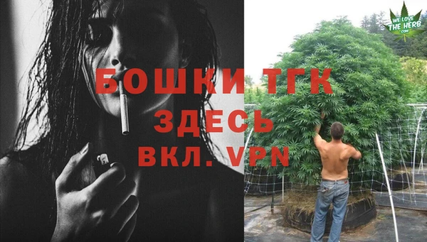 мет Пересвет