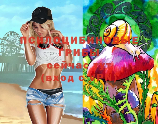 мет Пересвет