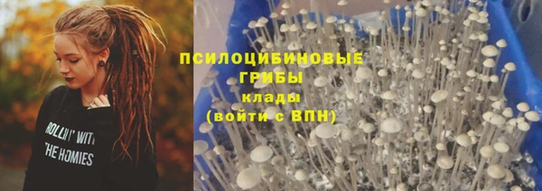 прущие крисы Переславль-Залесский