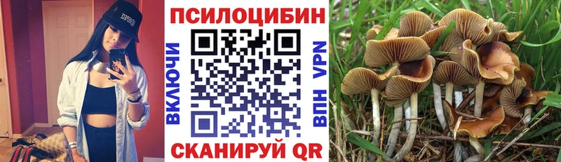Псилоцибиновые грибы мицелий  купить наркотик  Мурино 