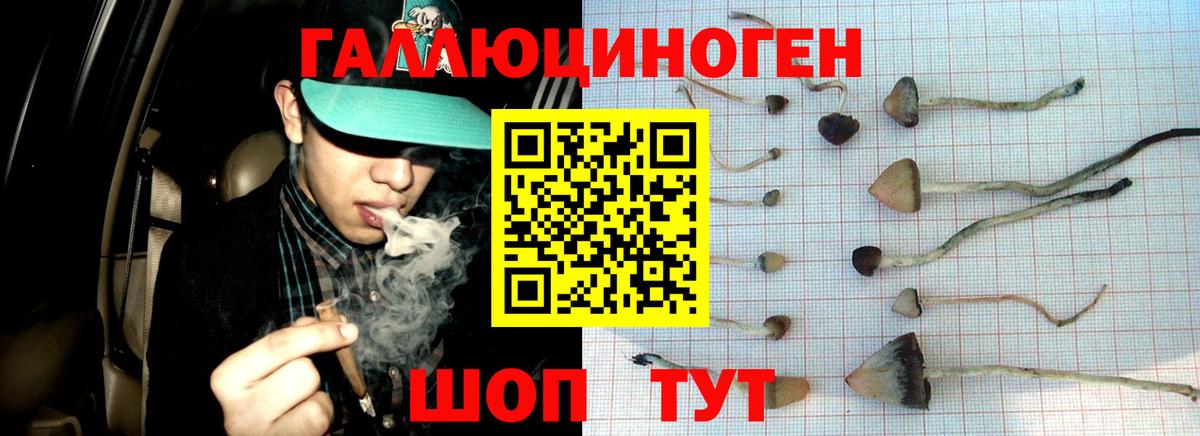 Псилоцибиновые грибы Magic Shrooms  Вход с VPN  Мурино  Галлюциногенные грибы Magic Shrooms 