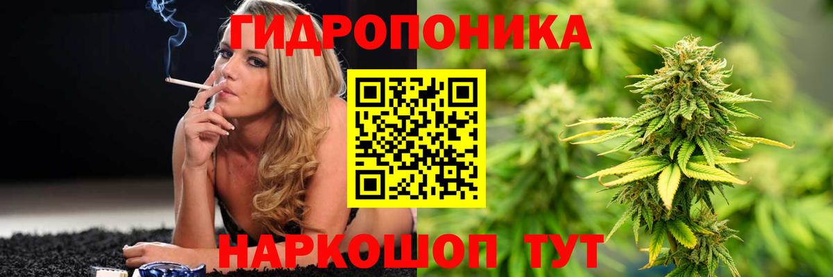Мурино  МДМА  Сколько стоит  Вход с VPN  ГАШ  Кокаин  Меф  
